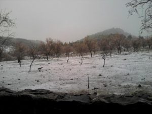 gc-snow