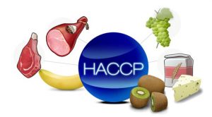 haccp
