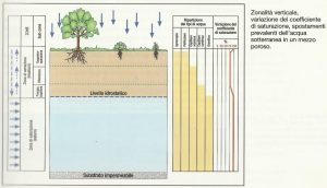 zonalitverticale001