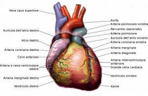 ARITMIA 3