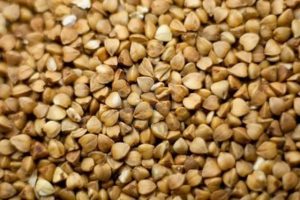 GRANO SARACENO 2