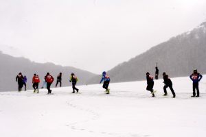 IMG_3985