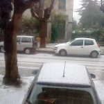 monto_5