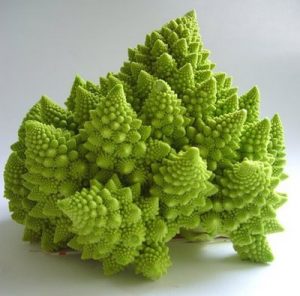 FRATTALE BROCCOLO