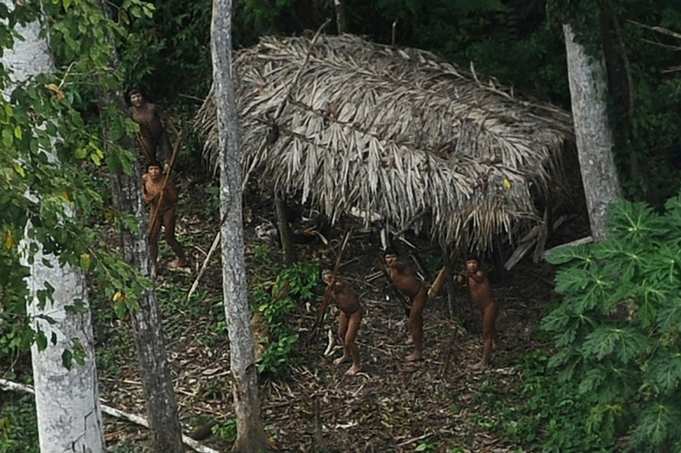 Brasile Scoperta Nuova Trib Di Indios Isolati In Amazzonia FOTO 