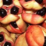 ackee