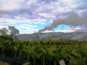 eolicoselva_2