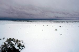gobi-snow