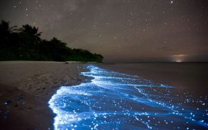 puerto-rico