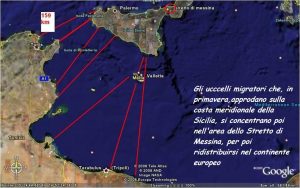 rotte dei migratori