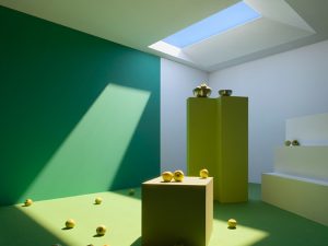 showcase-CoeLux_02