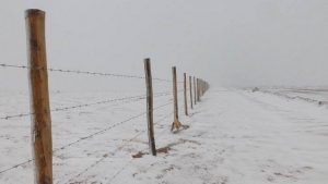 Le alture della regione di Antofogasta, nel Cile settentrionale, imbiancate dalla neve