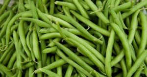 FAGIOLINI