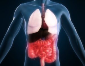 MORBO CROHN