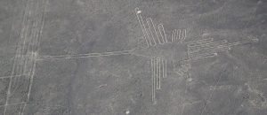 Nazca_colibri