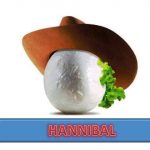 bufalannibal