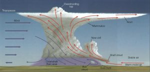 diagram-Multicell_Thunderstorm-Thomson-HiRes