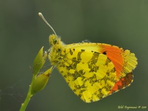 _dsc7348-nx-tn-1