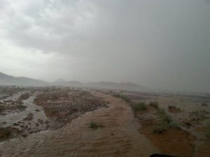 storm01