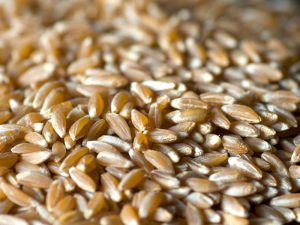 farina di farro