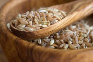 farro