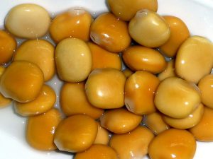 LUPINI 1