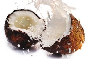 cocco