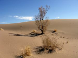 Desert- Farhzad to Mesr