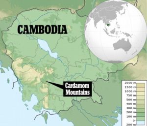 cambogia 2