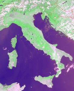 image1