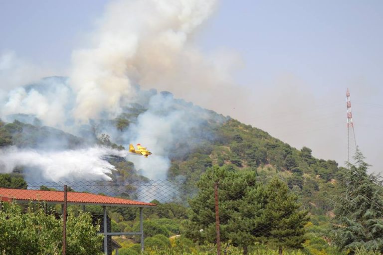Sicilia Devastata Dagli Incendi Distrutta La Riserva Di Cavagrande Del 