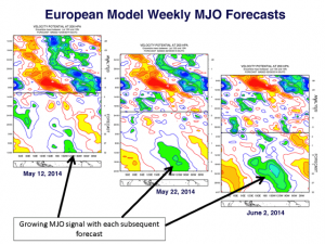 L'evoluzione della "MJO" verso il Pacifico orientale