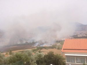 palermo incendi