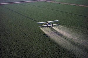 pesticidi