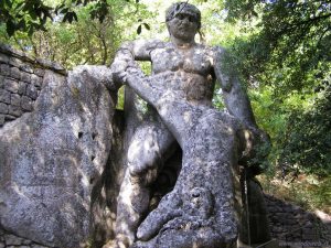 BOSCO 3