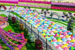 GIARDINO 14