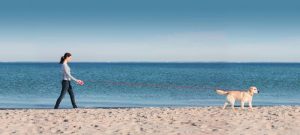 flexi_VARIO_3754_summer_beach