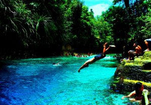 ENCHANTED RIVER 1