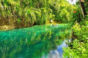 ENCHANTED RIVER COP