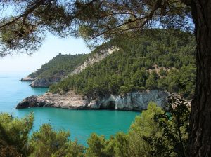GARGANO