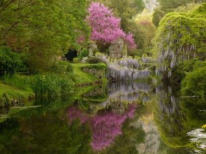 GIARDINO NINFA 2