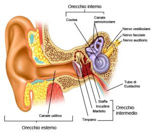 otite