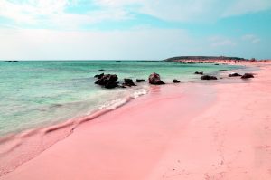 PINK COP