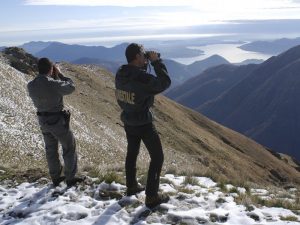 forestale