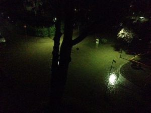 lignano