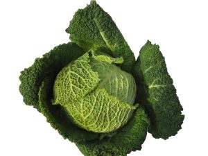 CAVOLO 1