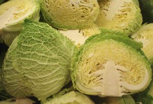 cavolo