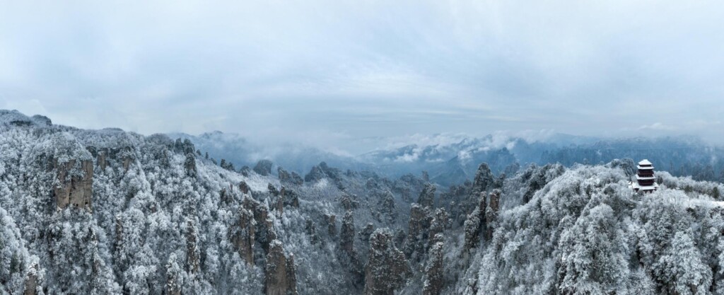 TIANZI