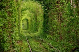 TUNNEL COP