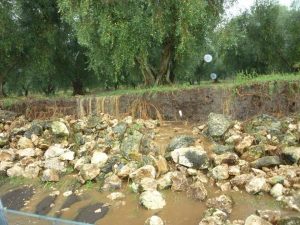 alluvione gargano 06
